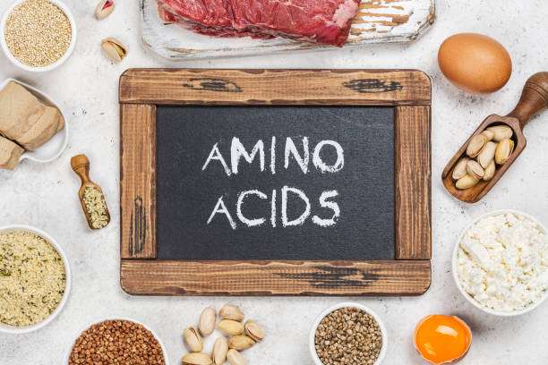The connection between Amino acids and Brain function